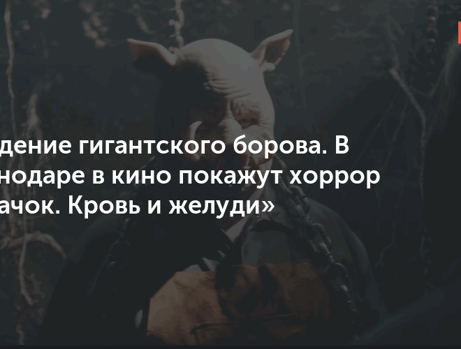 Изображение записи