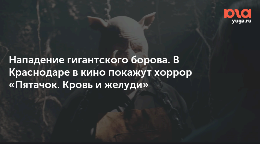 Изображение записи