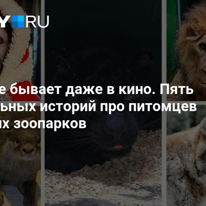 Изображение записи