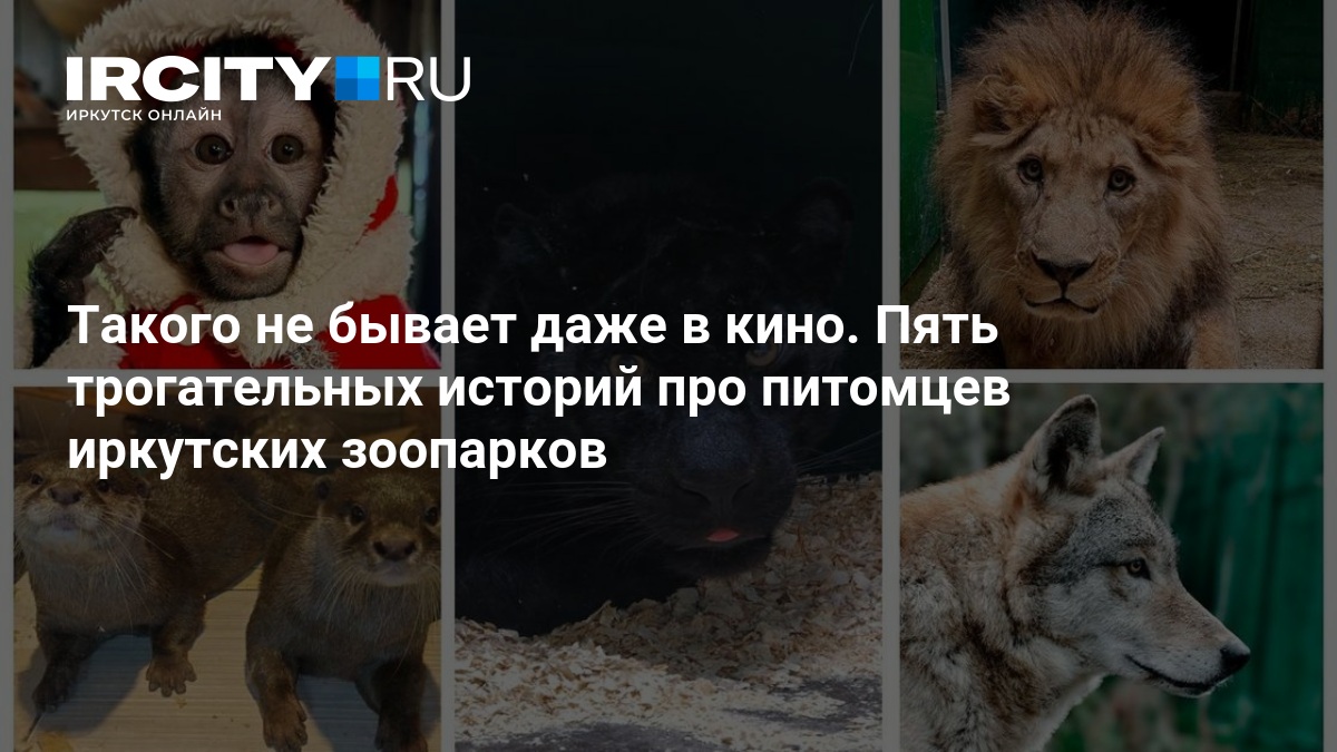 Изображение записи