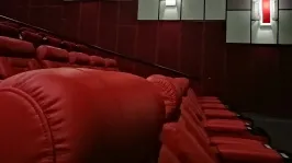 Изображение записи