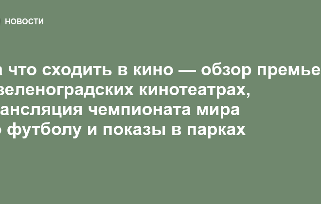 Изображение записи
